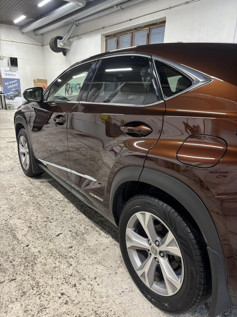 544957394 1277676977488037 2186991737927646266 n